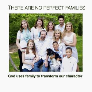 There are no Perfect Families